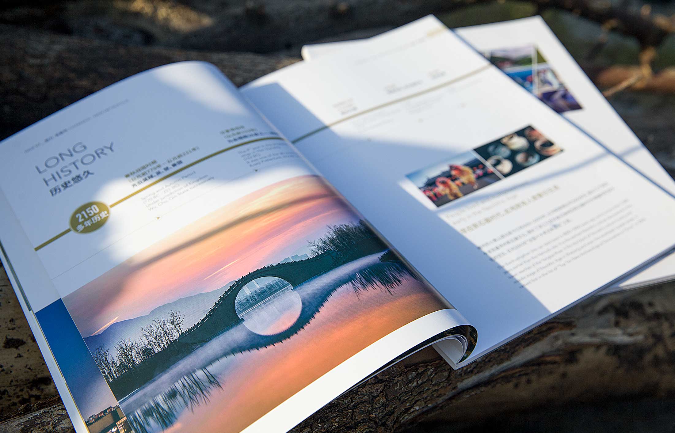 畫冊(cè)設(shè)計(jì)視覺空間漢字的分配