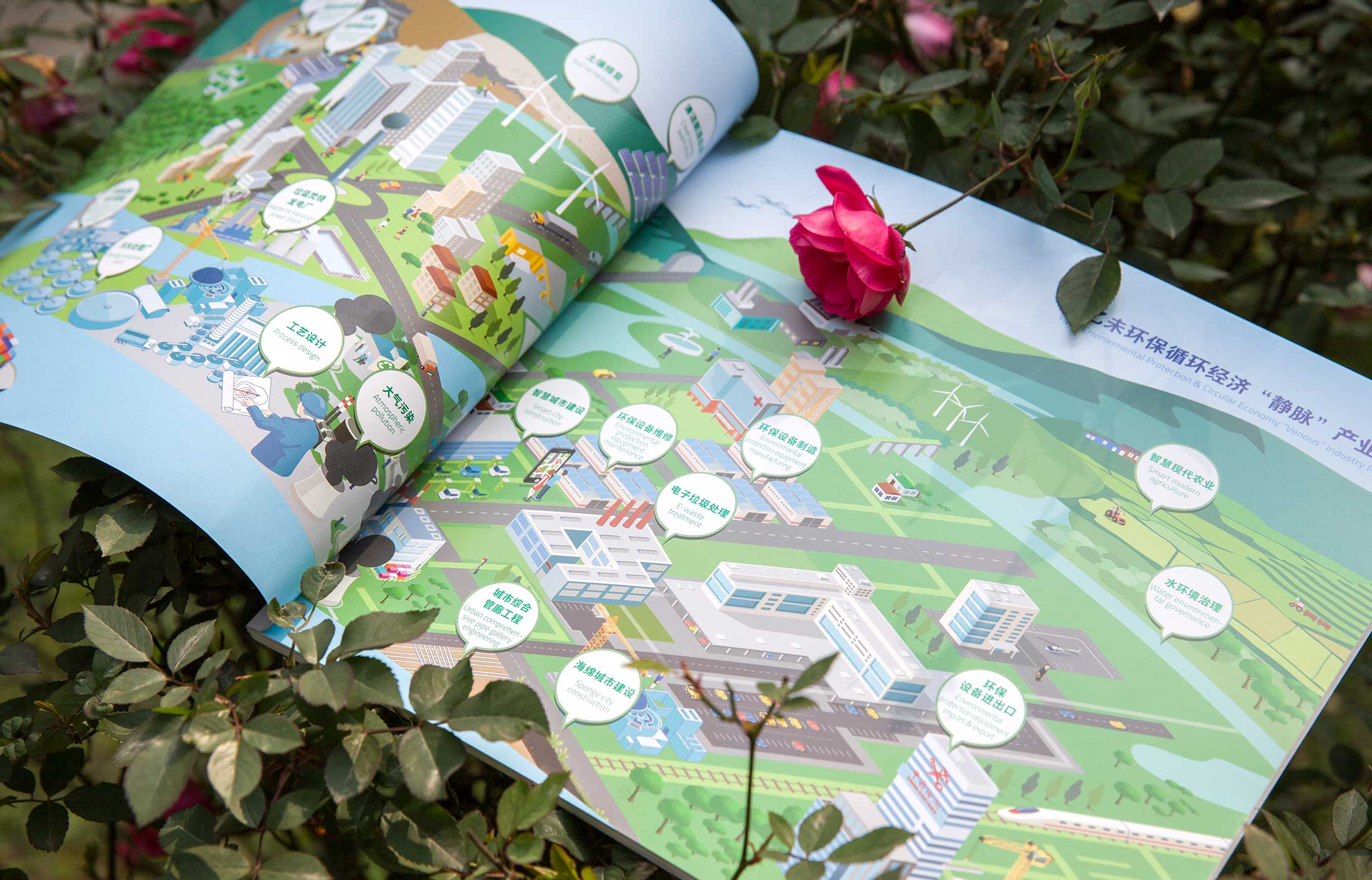 1597734315306193.jpg 6.jpg