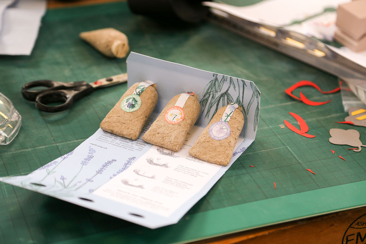 草甸種子創(chuàng)意包裝設(shè)計 草甸種子創(chuàng)意包裝設(shè)計