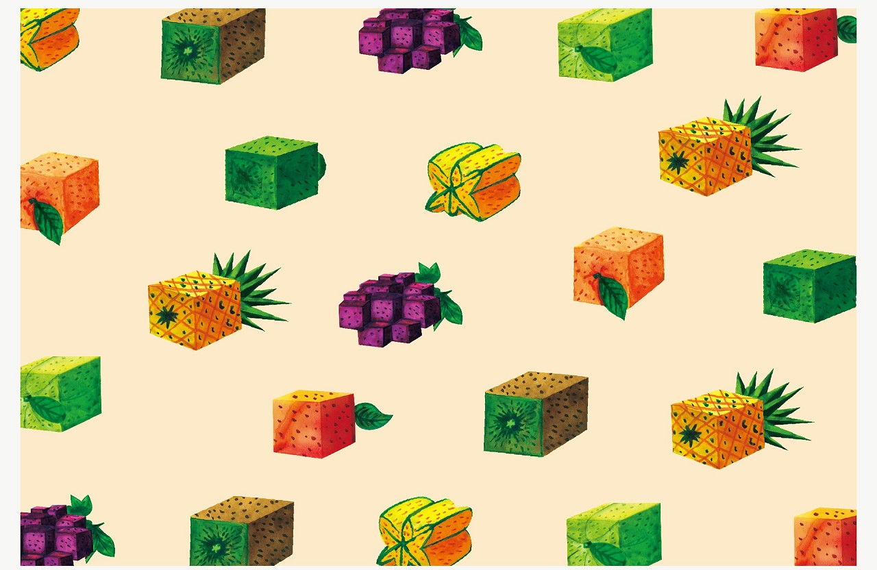 發酵果干包裝插畫 發酵果干包裝插畫