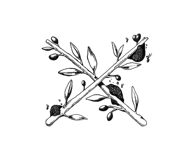 Helleo天然肥皂系列品牌包裝設(shè)計,六個肥皂,六個故事