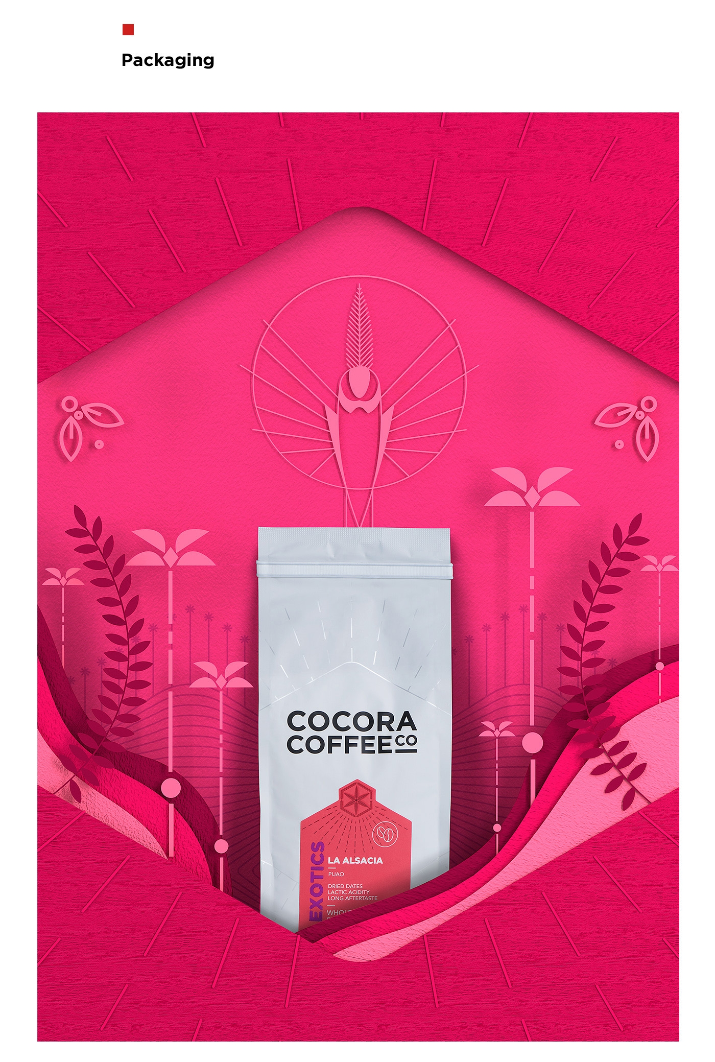 為一個(gè)咖啡杯，一個(gè)街角咖啡店，做整體的品牌包裝設(shè)計(jì)