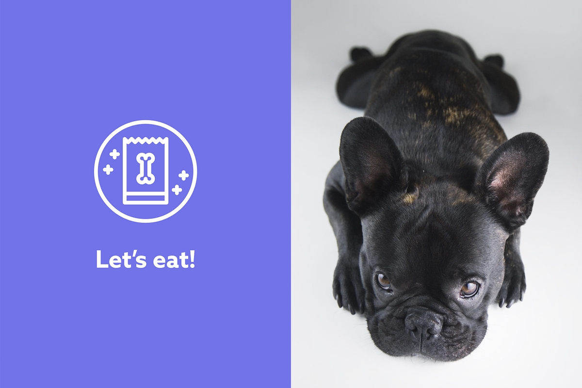 使你的狗快樂所需的一切—寵物用品包裝設計