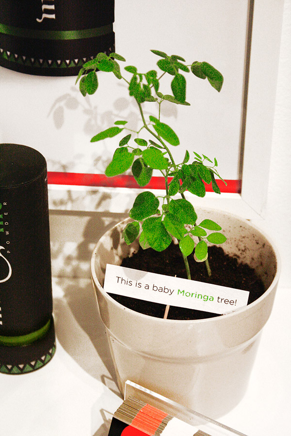 營(yíng)養(yǎng)品原料幼苗